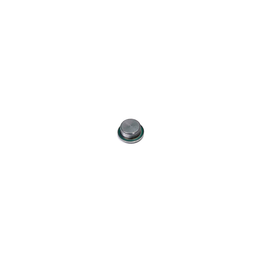 Genuine BMW 33117525064 E82 F10 F30 G30 Differential Drain Plug with O-Ring (Inc. 135i, 340ix, 540i & M5)