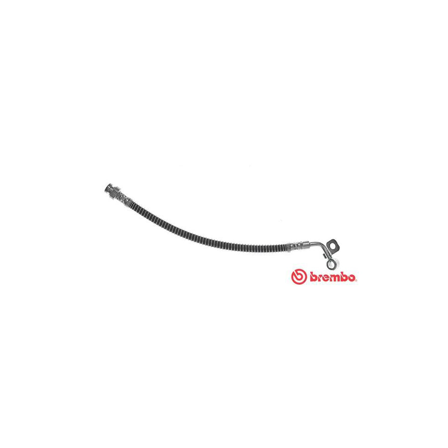 BREMBO T 30 071 Brake Hose 340Mm F10X1