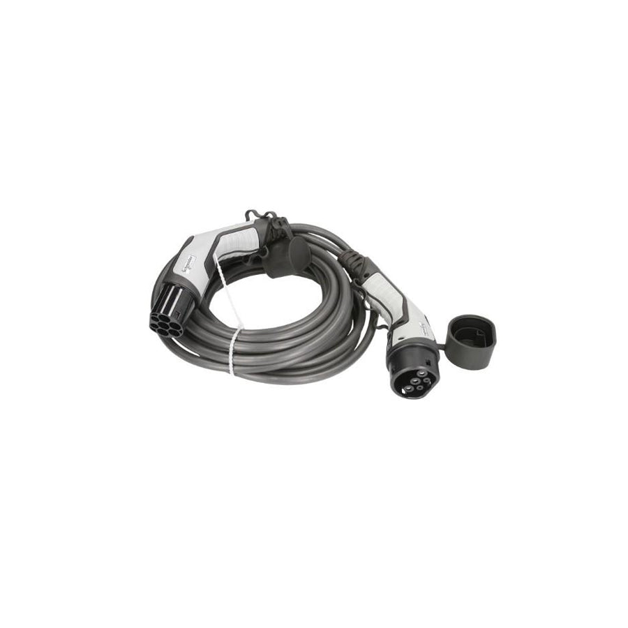 SCHNEIDER ELECTRIC EVP1CNX32122 Charging cable Charging plug type 2, 32A, 7,4kW, 10m, Phases 1, IP44