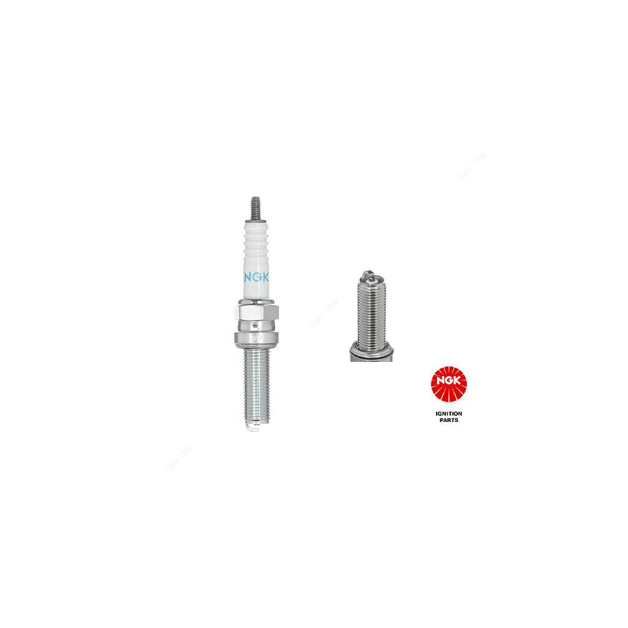 NGK LMAR8G (95627) - Standard Spark Plug / Sparkplug