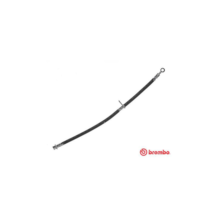 BREMBO T 28 097 Brake Hose for HONDA ACCORD 460Mm F10X1