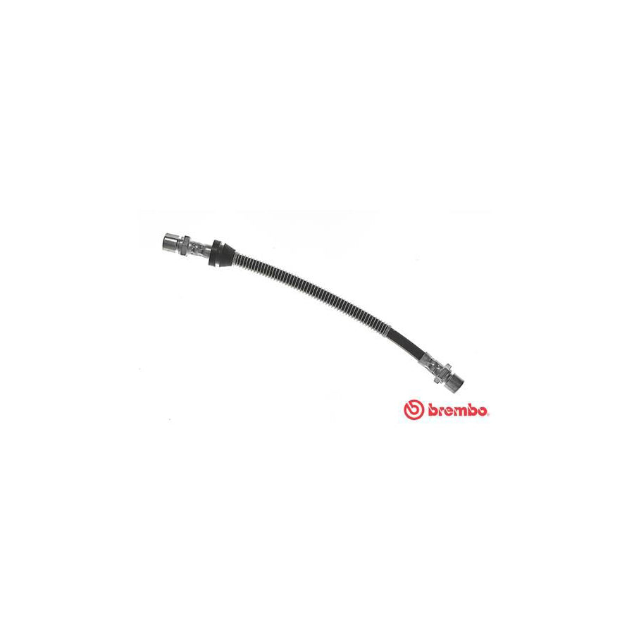 BREMBO T 10 010 Brake Hose 310Mm F10X1