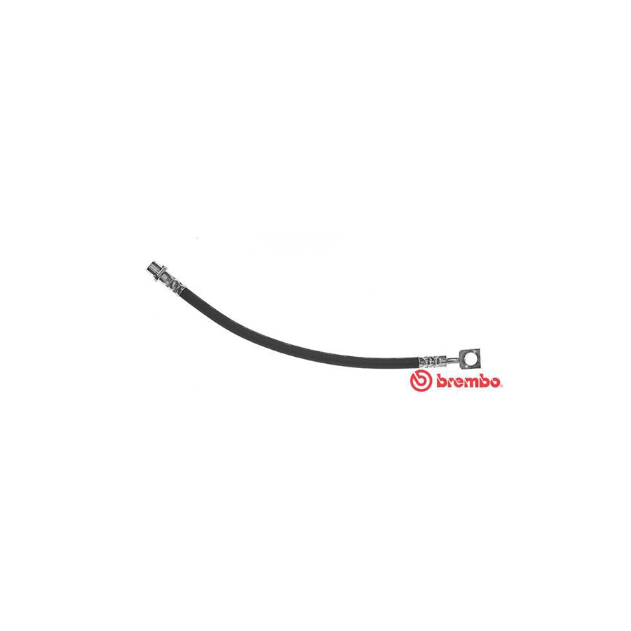 BREMBO T 59 081 Brake Hose 332Mm F10X1