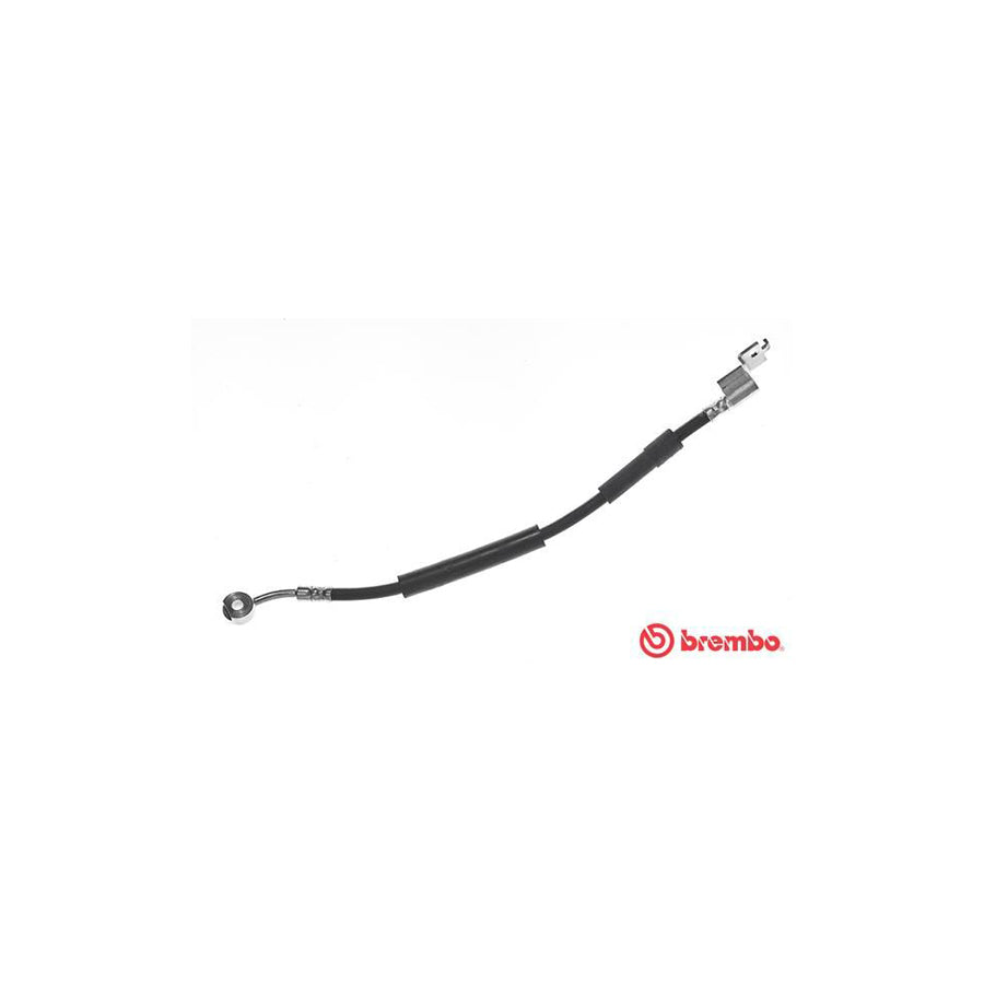 BREMBO T 37 002 Brake Hose 460Mm F3 8 24