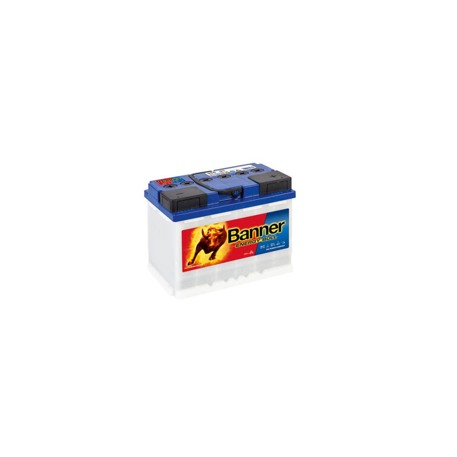 Banner Energy Bull Leisure Battery 95501 12V 60Ah
