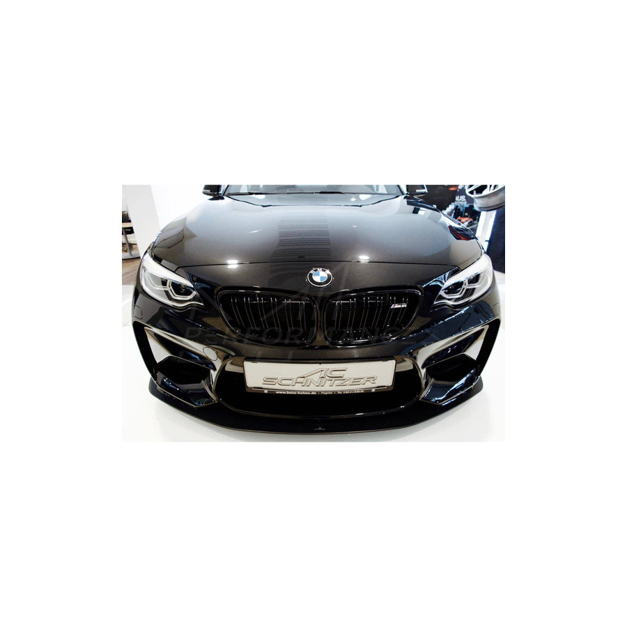 AC Schnitzer BMW F87 Lower Front Splitter (M2 & M2 Competition)