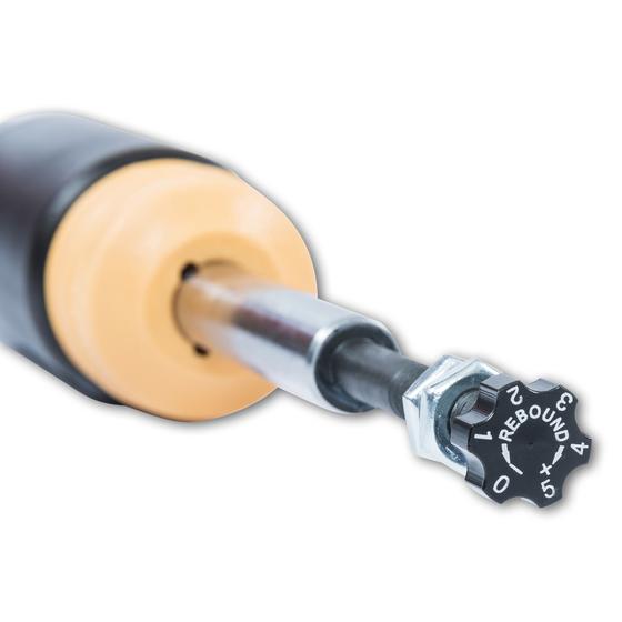 ST Suspension BMW E82 E88 COILOVER KIT XTA (128i &135i)