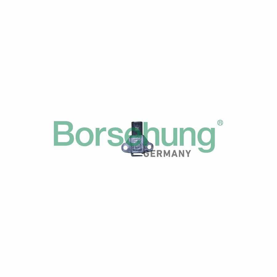 Borsehung B11886 Fuel Pressure Sensor