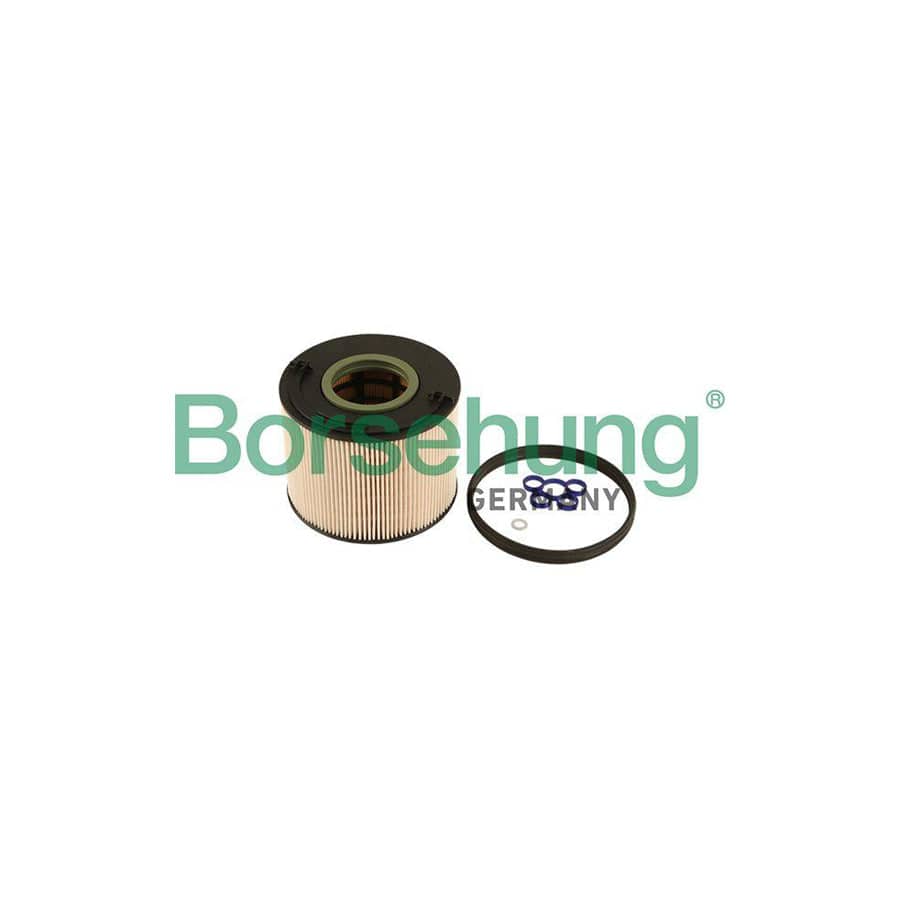 Borsehung B12201 Fuel Filter