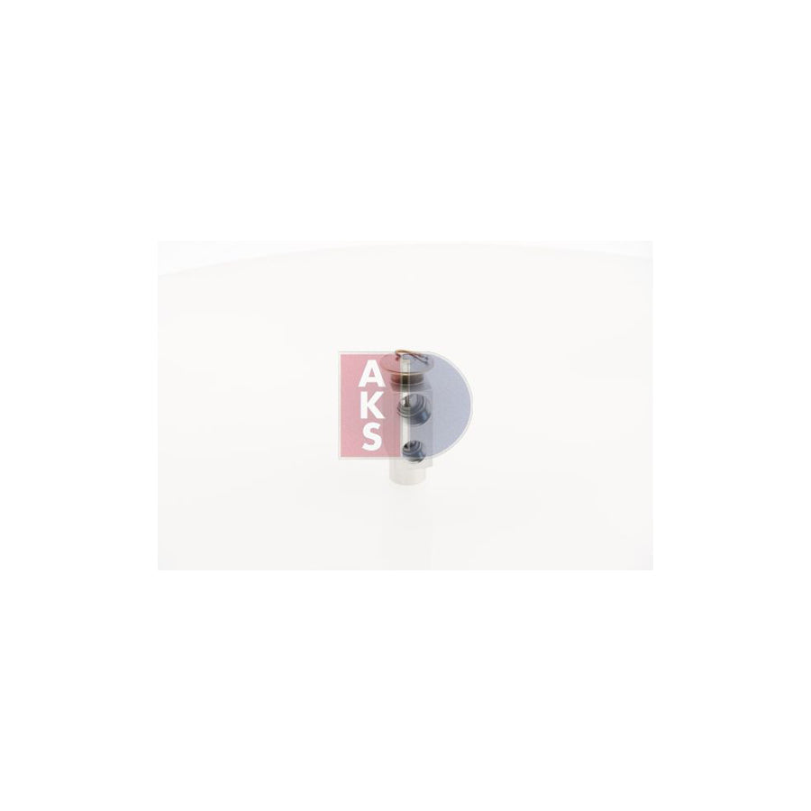 AKS Dasis 840070N Ac Expansion Valve | Duco Car Parts UK