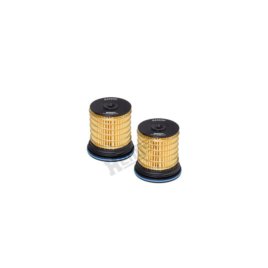 Hengst Filter E432Kp D250-2 Fuel Filter