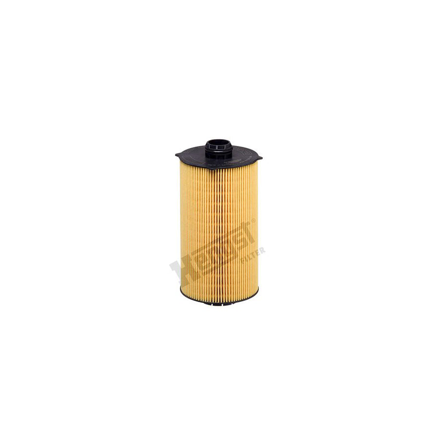 Hengst Filter E213H D300 Oil Filter