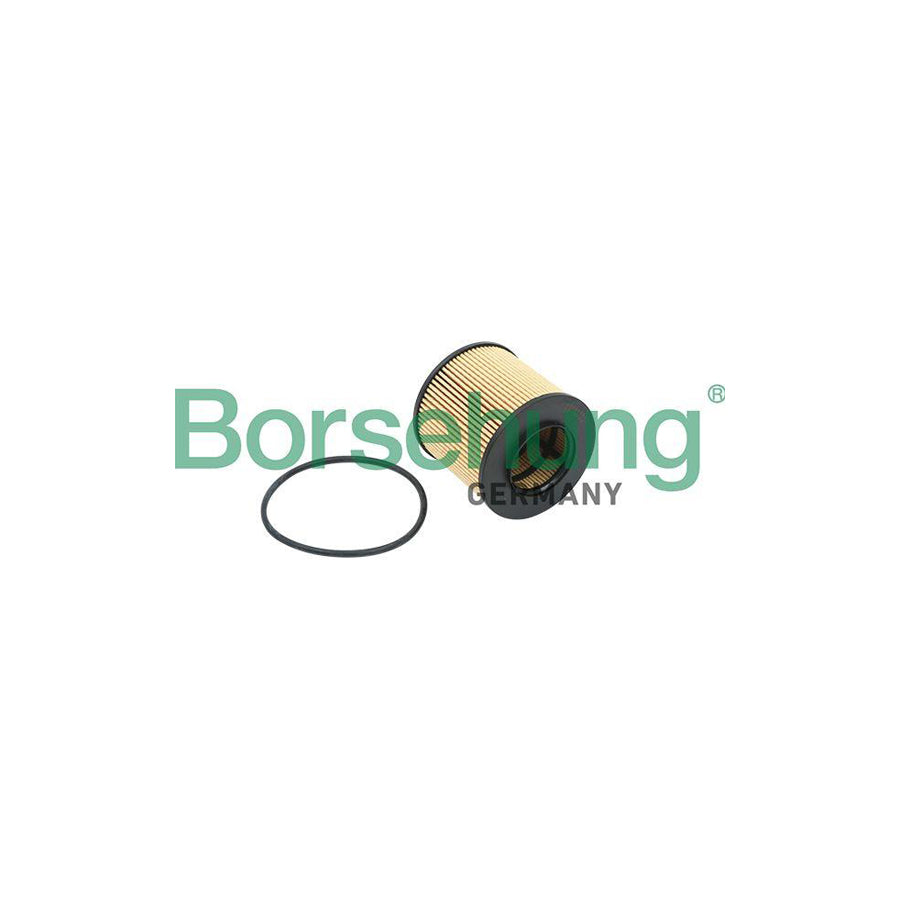 Borsehung B12821 Oil Filter