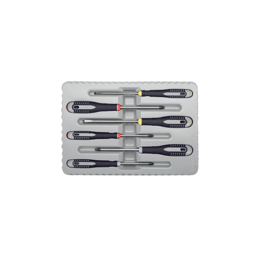 Bahco BAHBE9884 BE-9884 ERGO Screwdriver Set, 6 Piece | Duco Car Parts UK