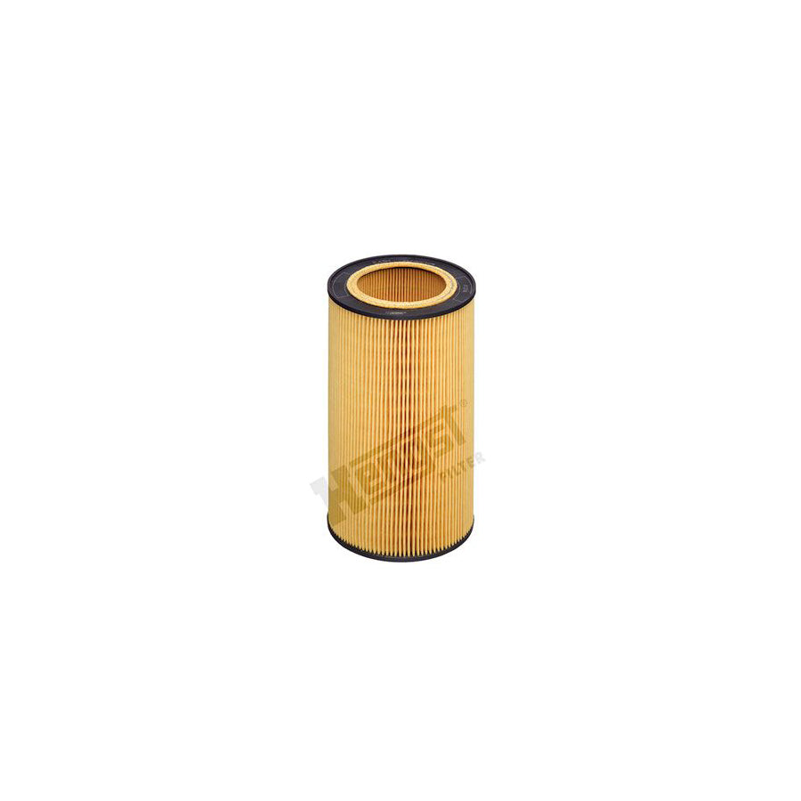 Hengst Filter E43H D213 Oil Filter