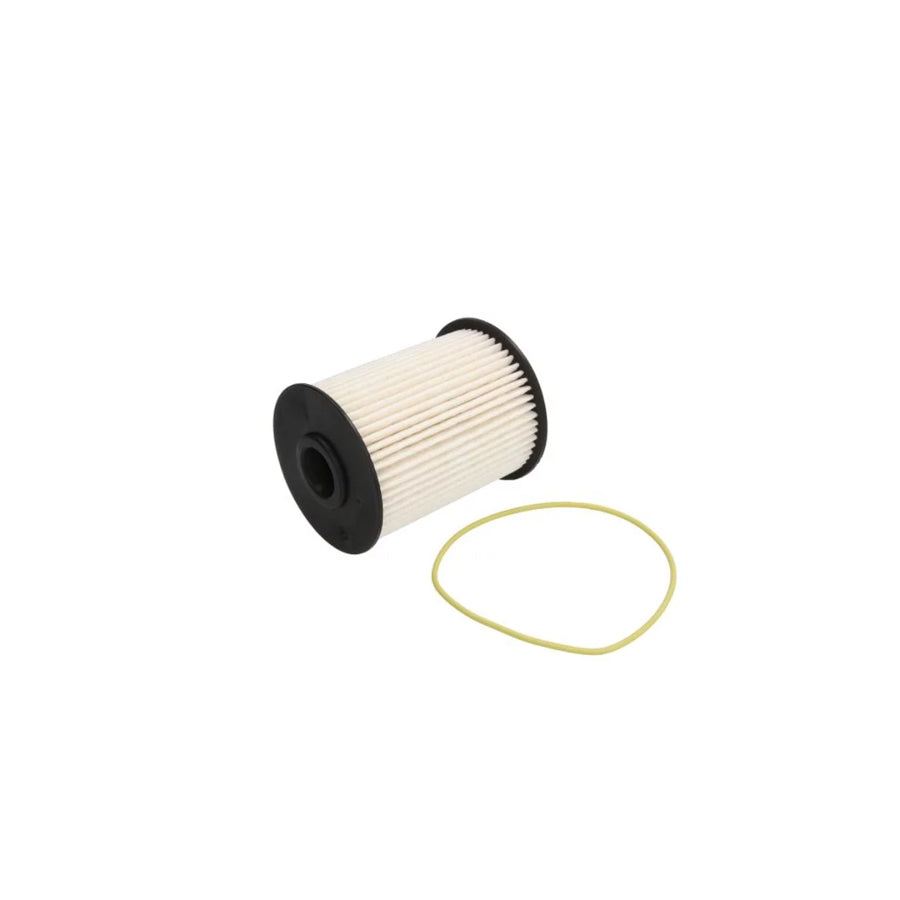 Fleetguard FS19855 Fuel Filter | Duco Car Parts UK Car Parts