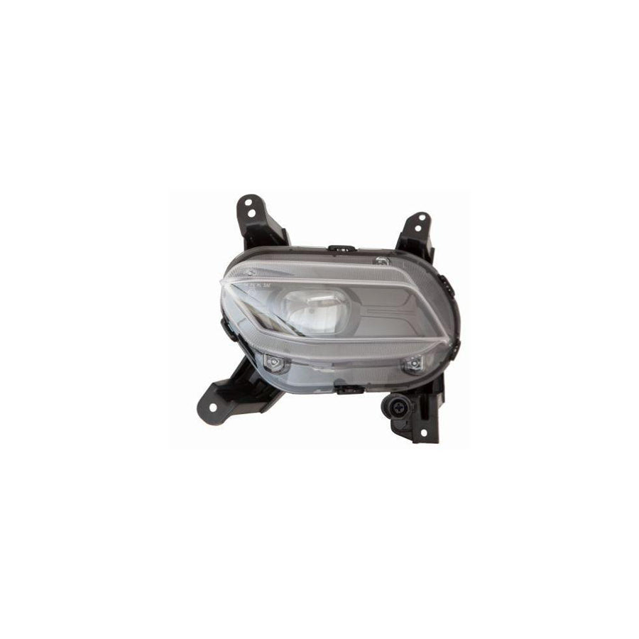 Abakus 2212070LAE Fog Light For Hyundai Santa Fé Iii (Dm) | Duco Car Parts UK