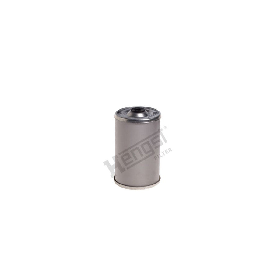 Hengst Filter E10S0017 Fuel Filter