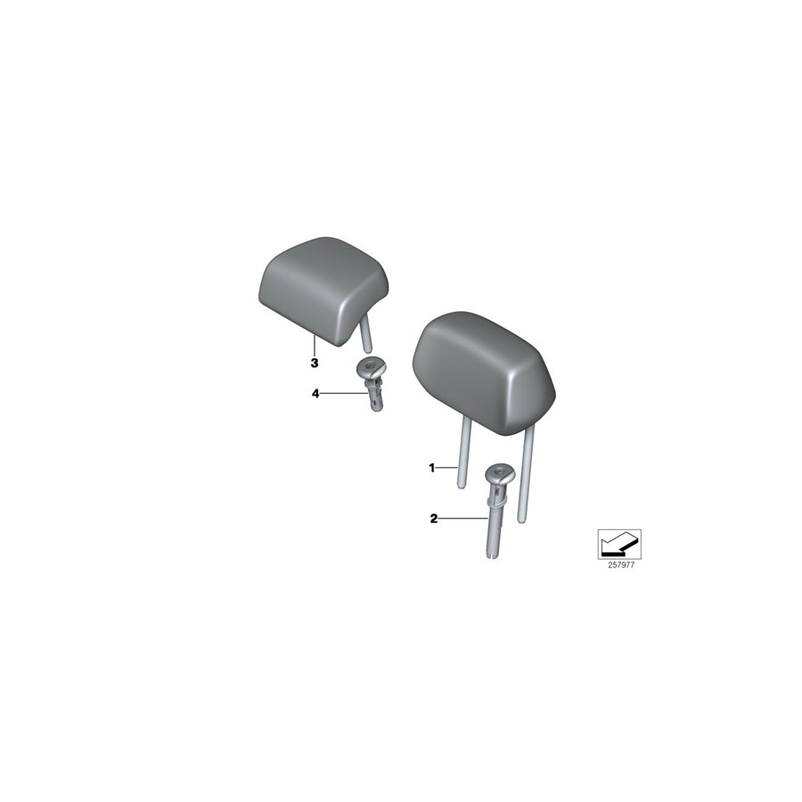 Genuine BMW 52207288916 F22 F20 F31 Head Restraint Guide Rear OYSTER (Inc. 318d, 316i & 420i) | Duco Car Parts UK