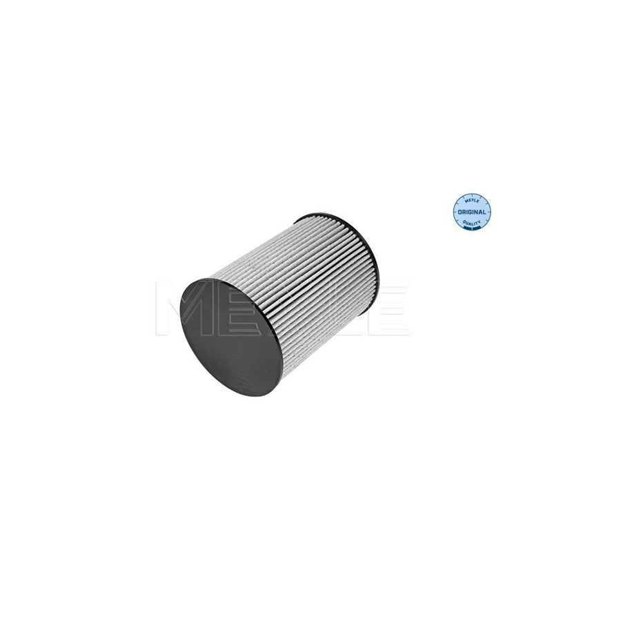 Meyle 514 323 0009 Fuel Filter