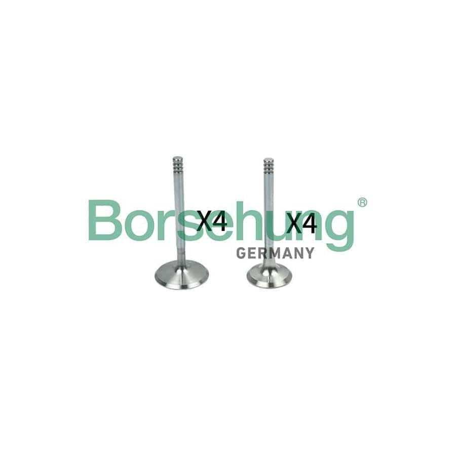 Borsehung B18148 Valve