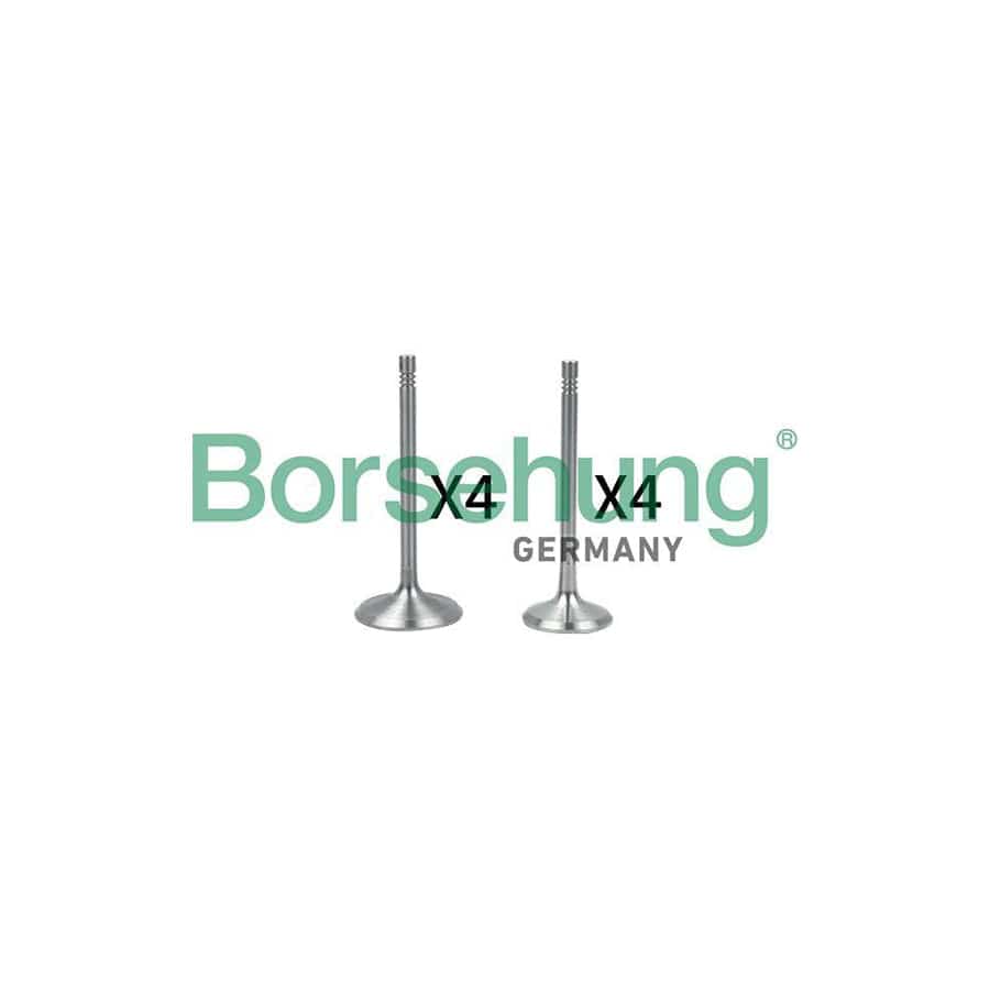 Borsehung B18146 Valve