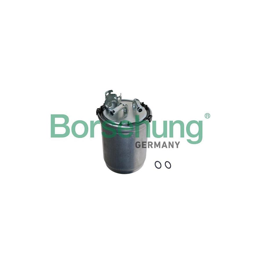 Borsehung B10474 Fuel Filter