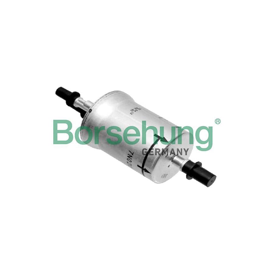 Borsehung B18469 Fuel Filter