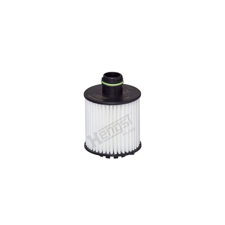 Hengst Filter E873H D377 Oil Filter