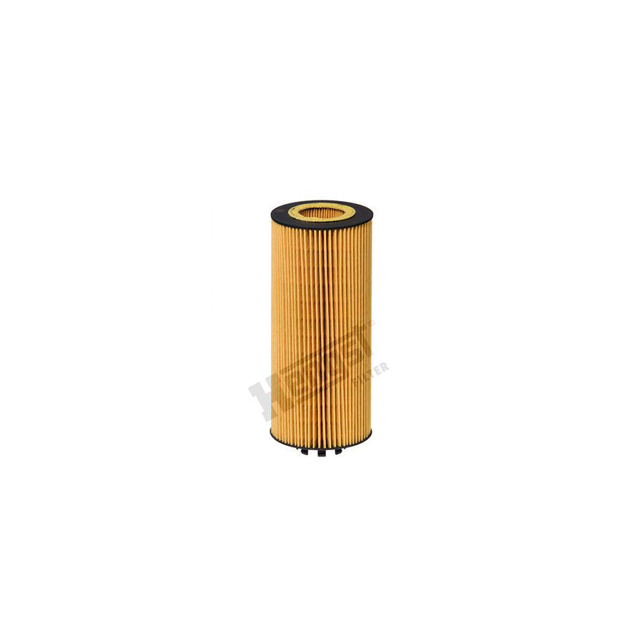 Hengst Filter E181H D252 Oil Filter