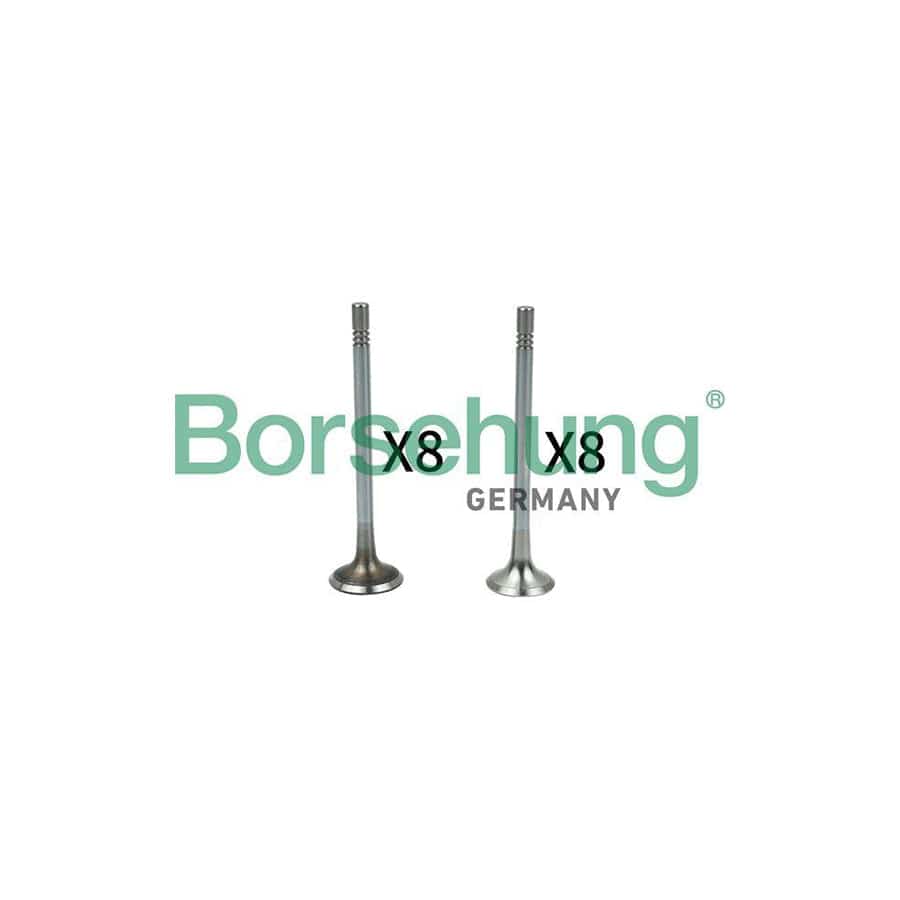 Borsehung B18628 Valve