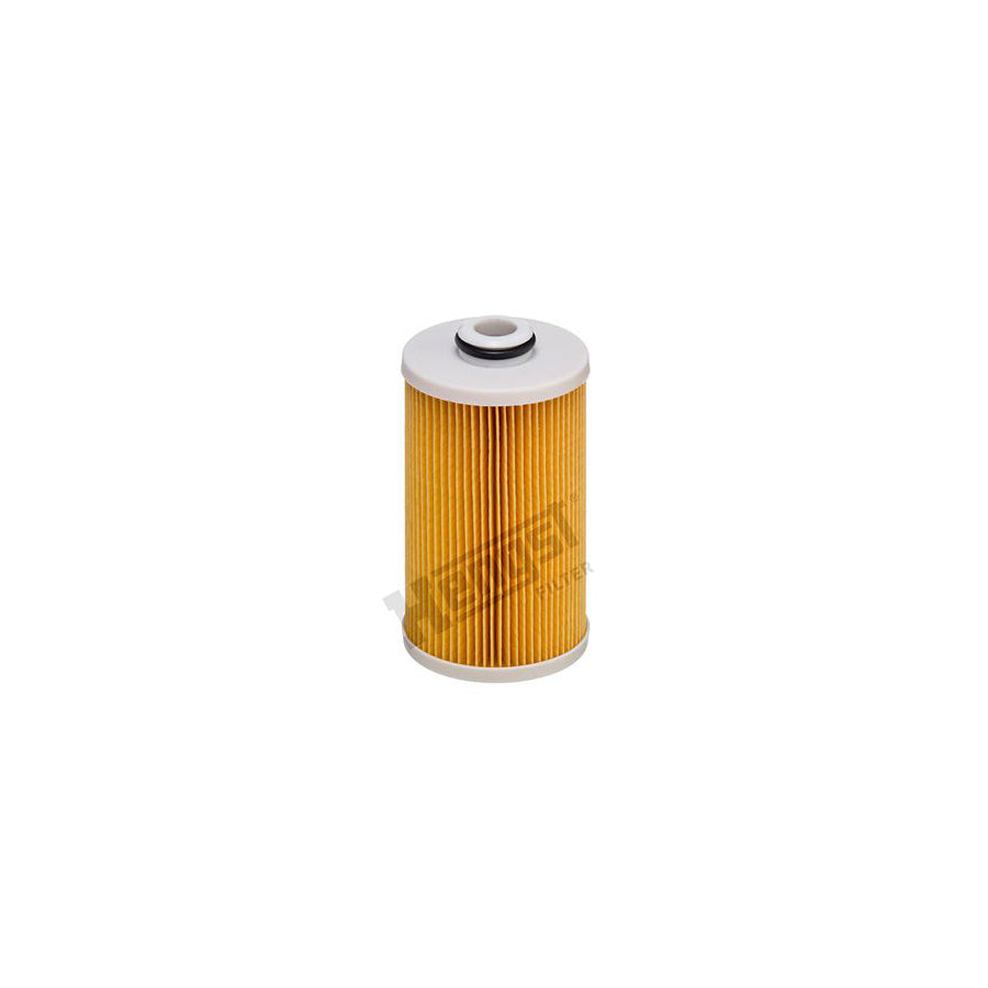Hengst Filter E490Kp D484 Fuel Filter