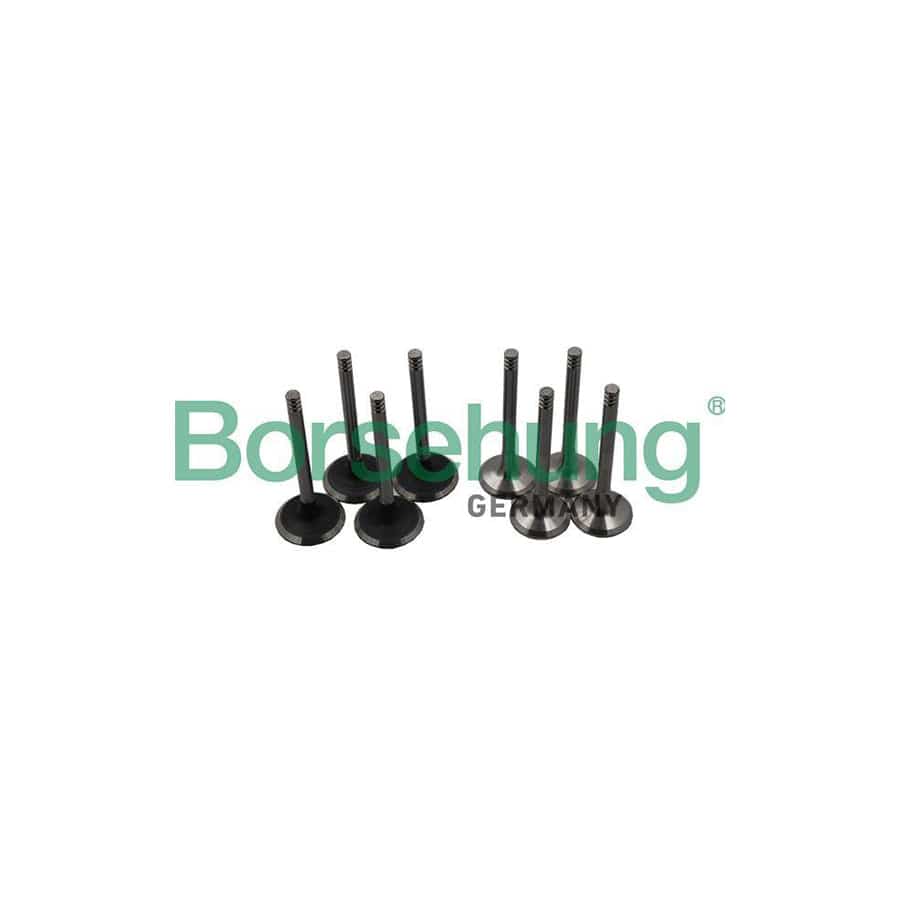 Borsehung B18640 Valve