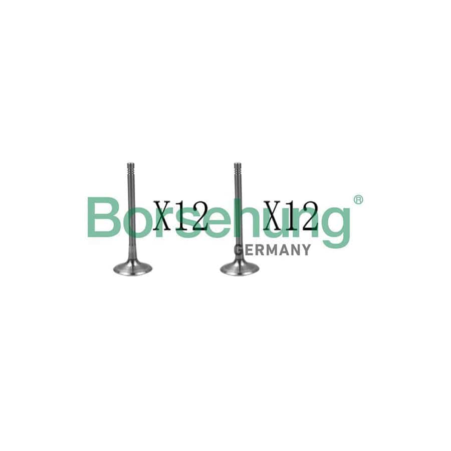 Borsehung B18638 Valve