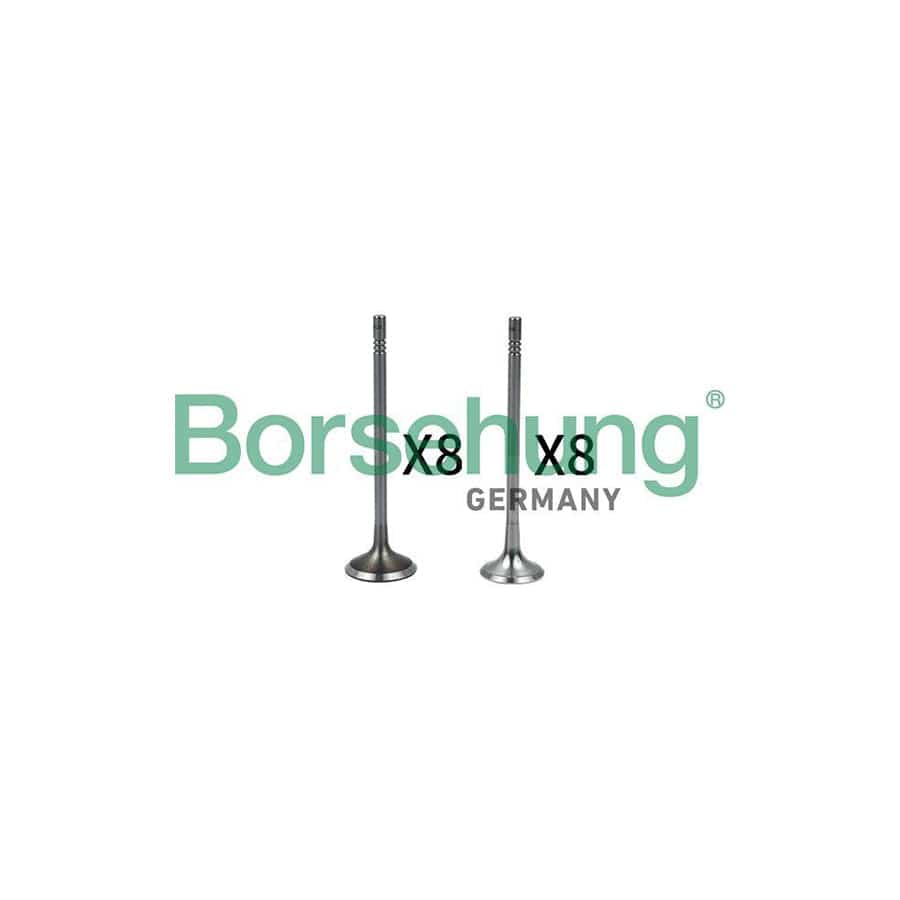 Borsehung B18633 Valve