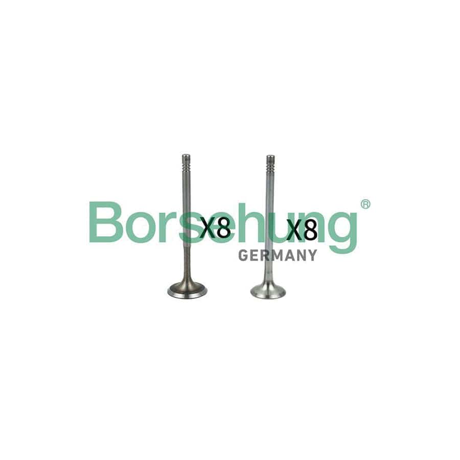 Borsehung B18630 Valve