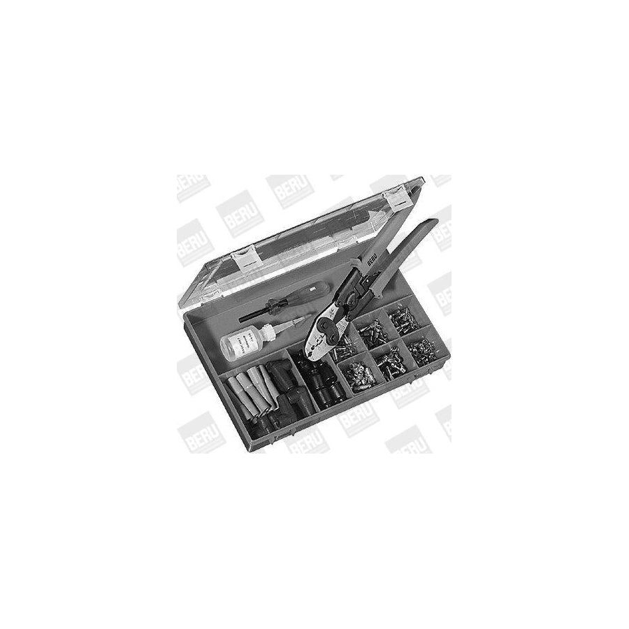 Beru ZAZ3KIT Assortment Box