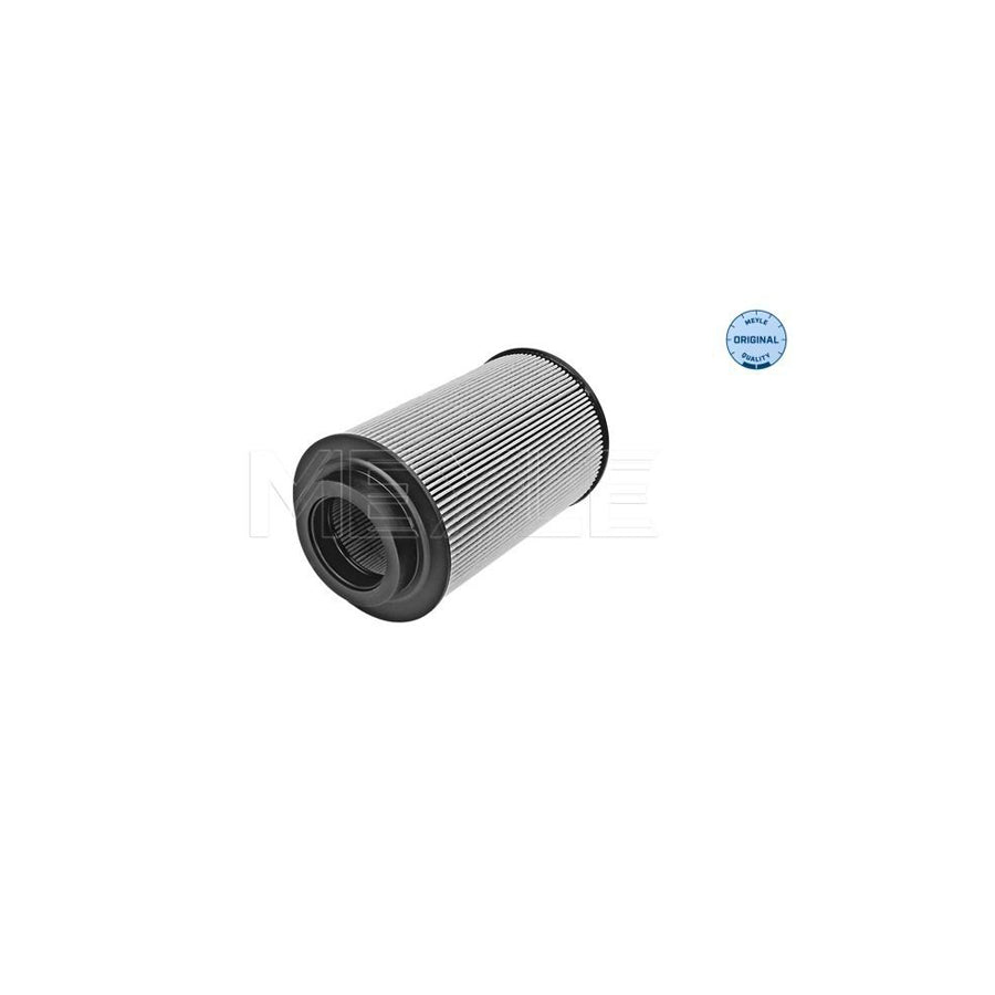 Meyle 12-34 323 0007 Fuel Filter