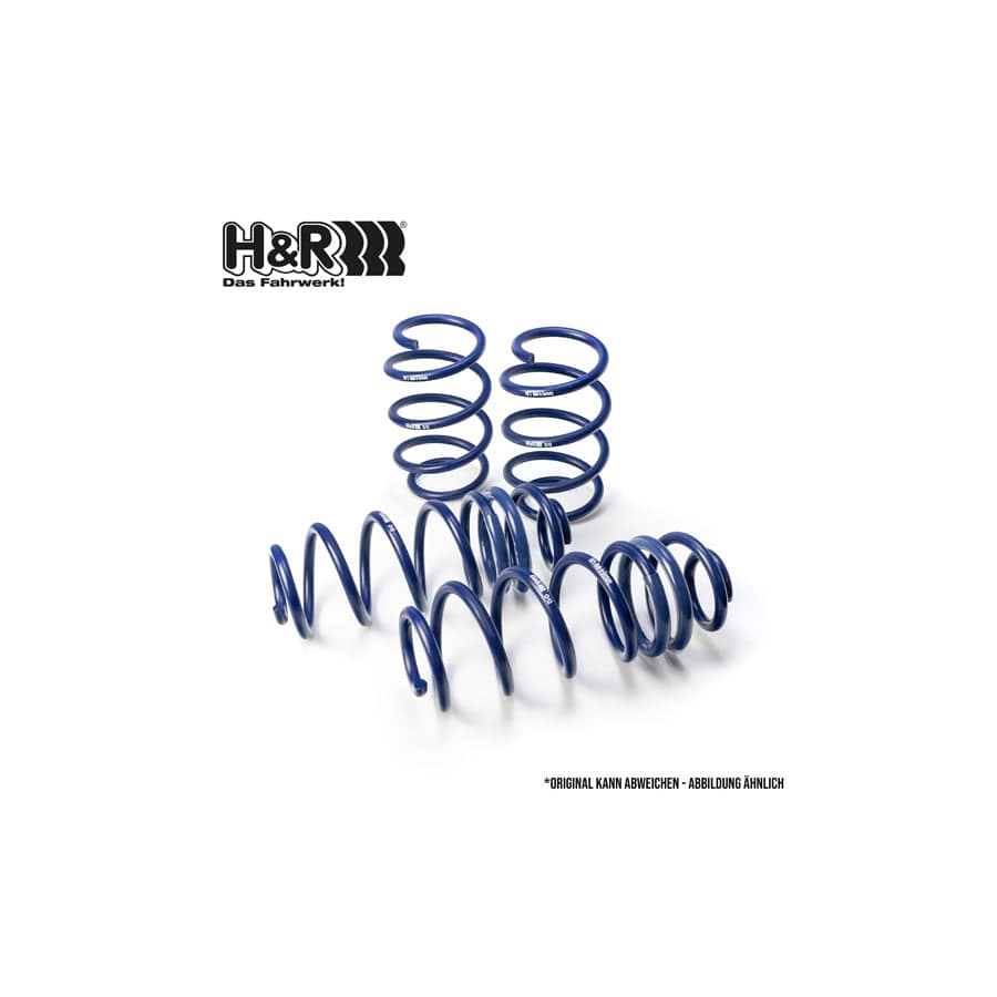 H&R 28625-3 Performance Lowering Springs | Duco Car Parts UK Car Parts