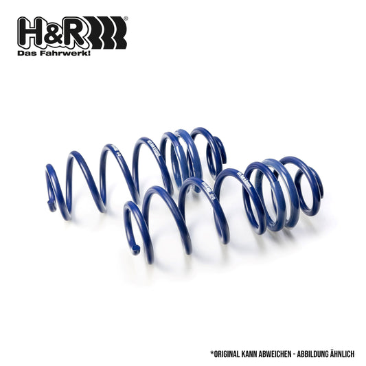 H&R 29847-1 Performance Lowering Springs