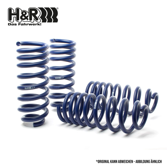 H&R 28876-1 Performance Raising Springs