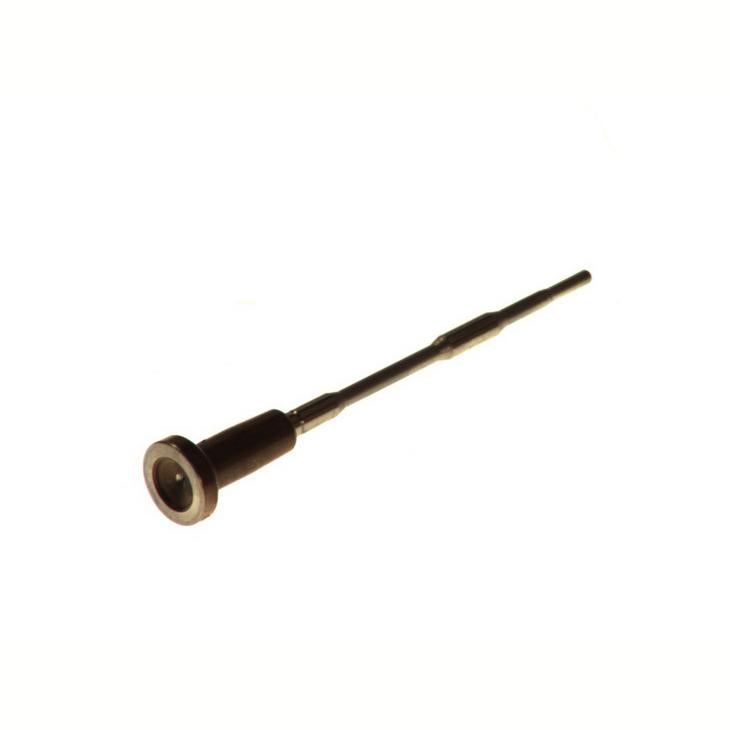 BOSCH C01-303 Injector