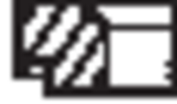 Mahle 20518N0 - Piston Ring Kit