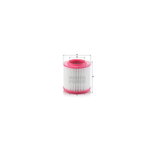 MANN-FILTER C 1343 Air Filter for AUDI A8 D3 (4E2, 4E8) Filter Insert