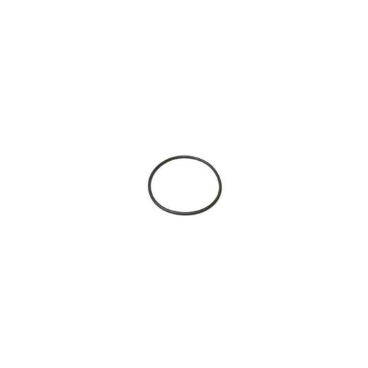 Genuine BMW F10 F20 F30 F80 G20 G30 Fuel Tank O-Ring (Inc. M135i, 340i, M550ix & X3 M40ix)
