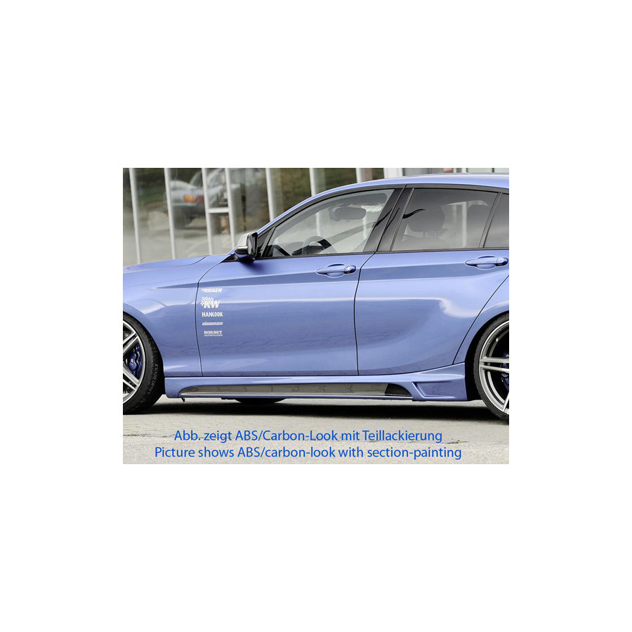Rieger BMW F20 Sideskirts with Aluminium Mesh Cutout (Inc. 116i, 118i, 120d & M135i)