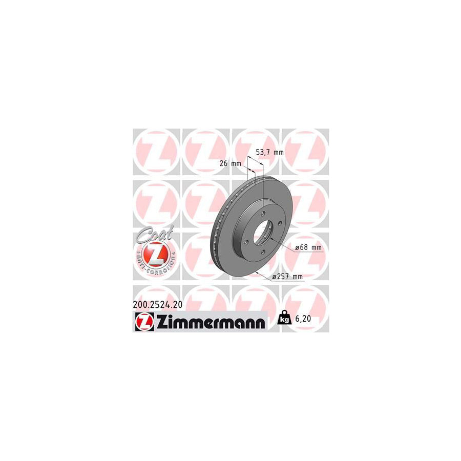 ZIMmERMANN COAT Z 200 2524 20 Brake Disc for NISSAN NV200 Internally Vented Coated