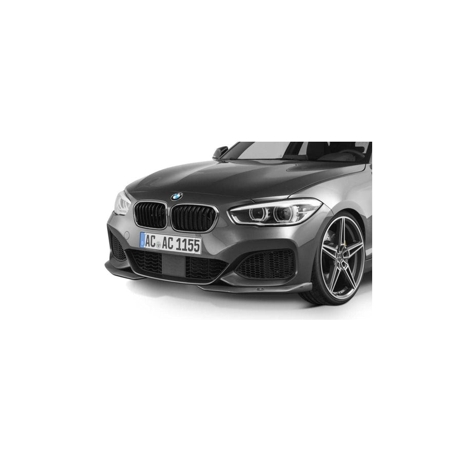 AC Schnitzer BMW F20 F21 LCI M Sport Front Spoiler Elements (M135i & M140i)