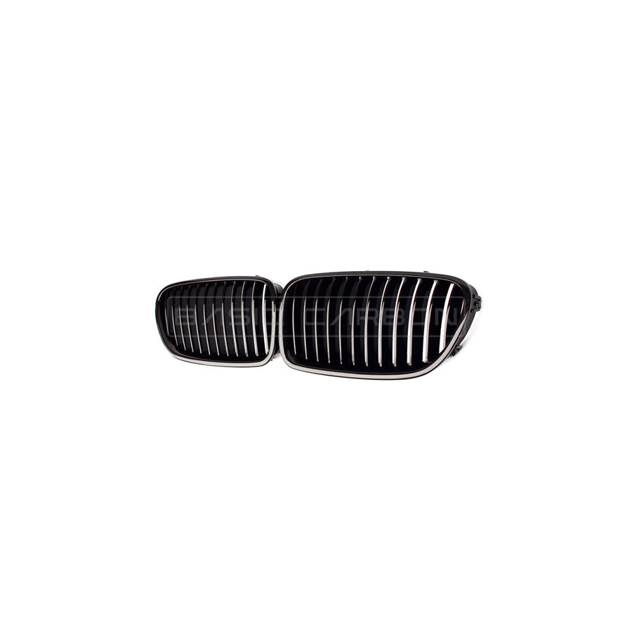 Basic Carbon BMW F10 Carbon Fibre Kidney Grille (Inc. 550i, M550dx & M5)