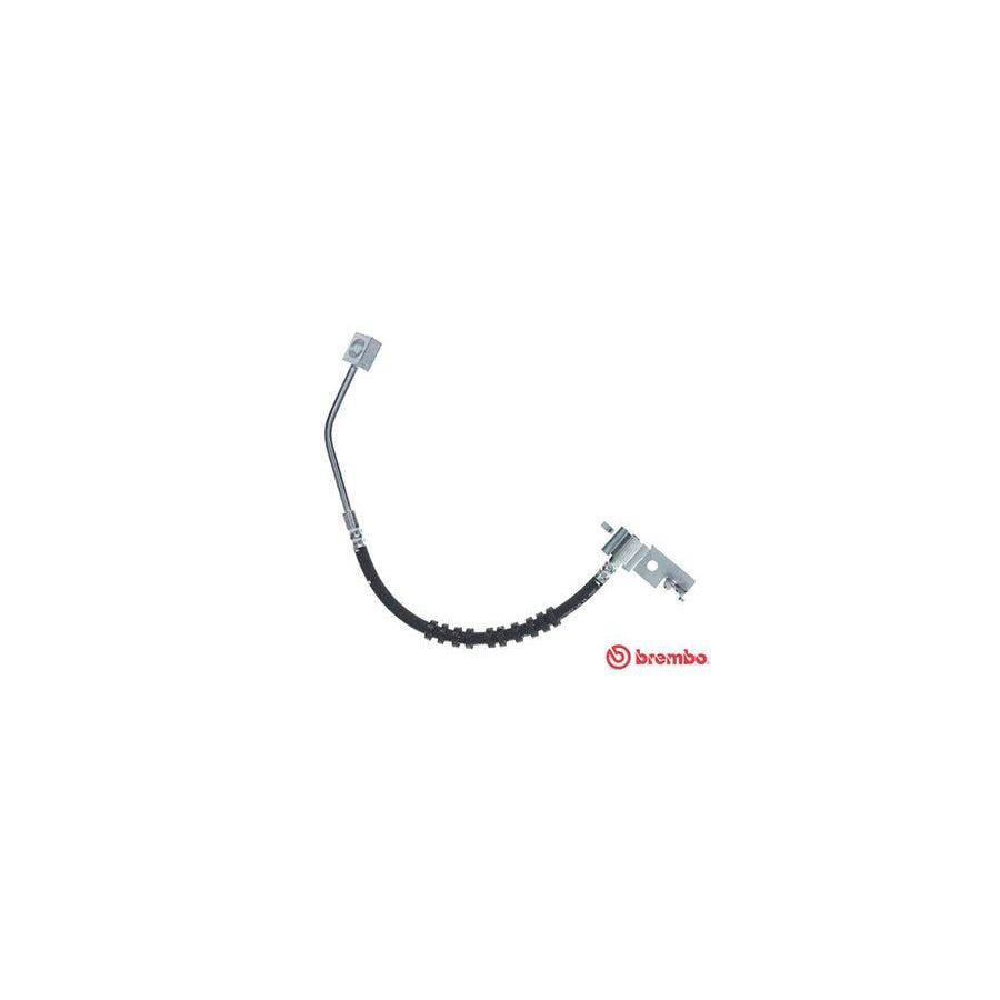 BREMBO T 11 005 Brake Hose 450Mm F3 8 24